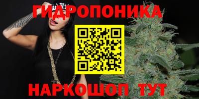 альфа пвп Можга