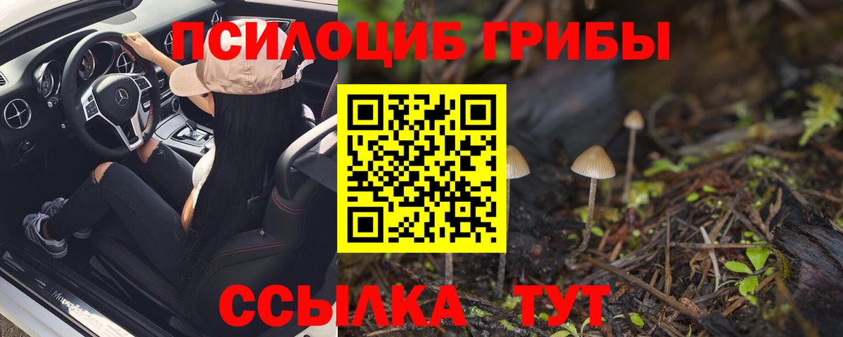 Псилоцибиновые грибы прущие грибы  Вход с VPN  Псилоцибиновые грибы Cubensis  Хабаровск 