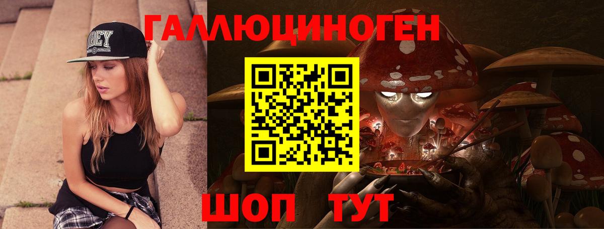 Галлюциногенные грибы Psilocybine cubensis Хабаровск